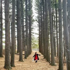 Meet your Posher, Evey